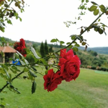 Domacinstvo Sindelic Ivanjica Exterior foto