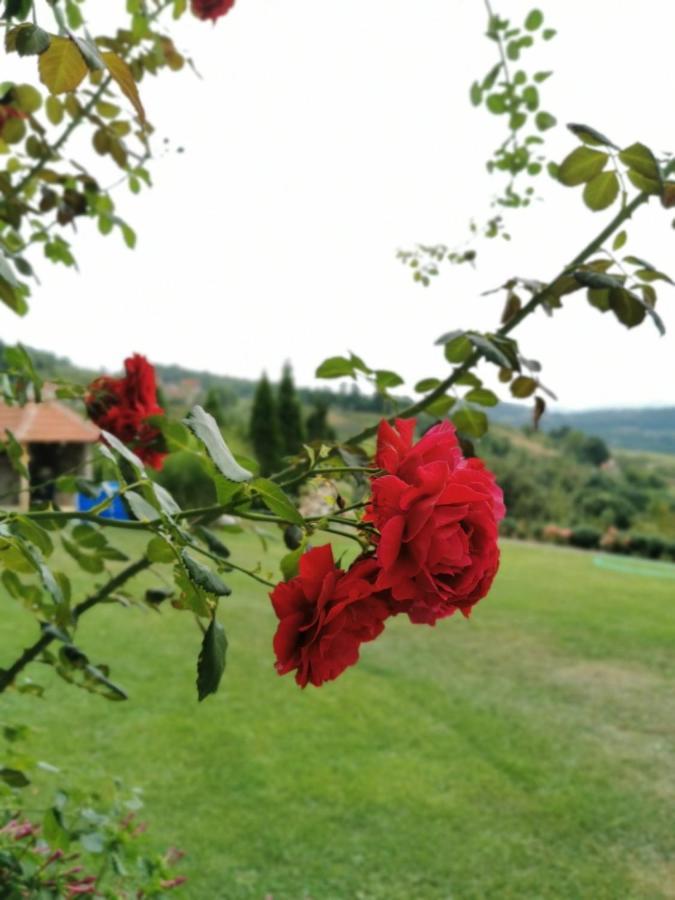 Domacinstvo Sindelic Ivanjica Exterior foto