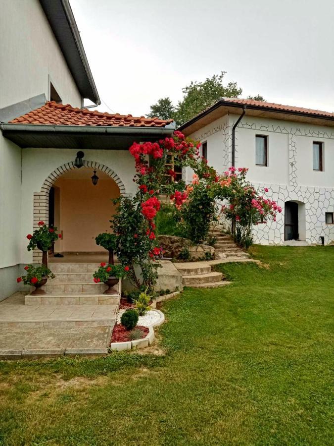 Domacinstvo Sindelic Ivanjica Exterior foto