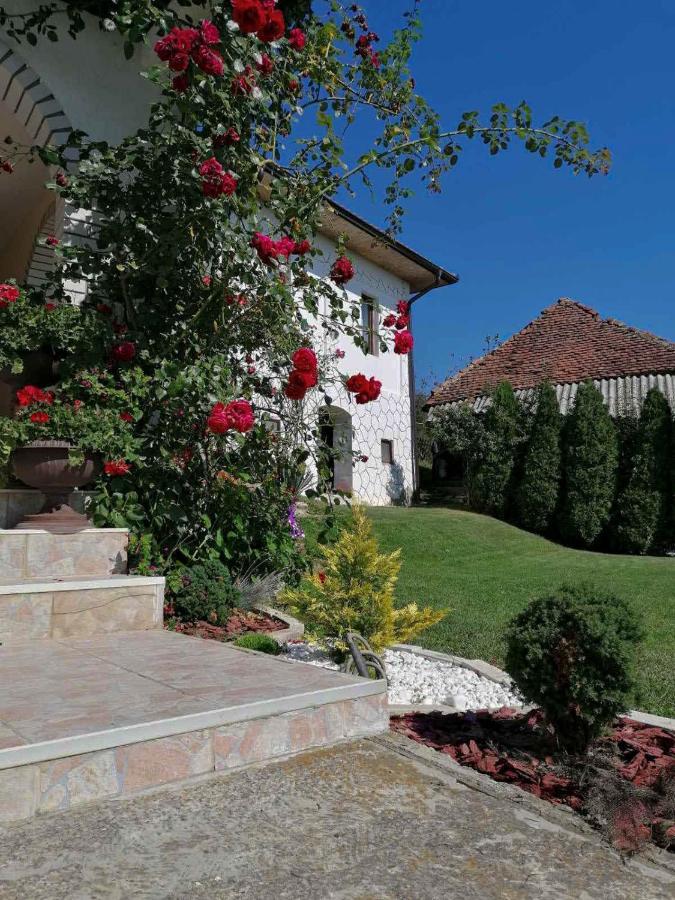 Domacinstvo Sindelic Ivanjica Exterior foto